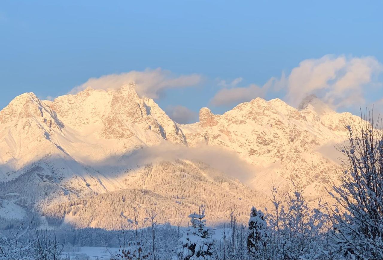 Bergblick Apartment Saalfelden Екстериор снимка