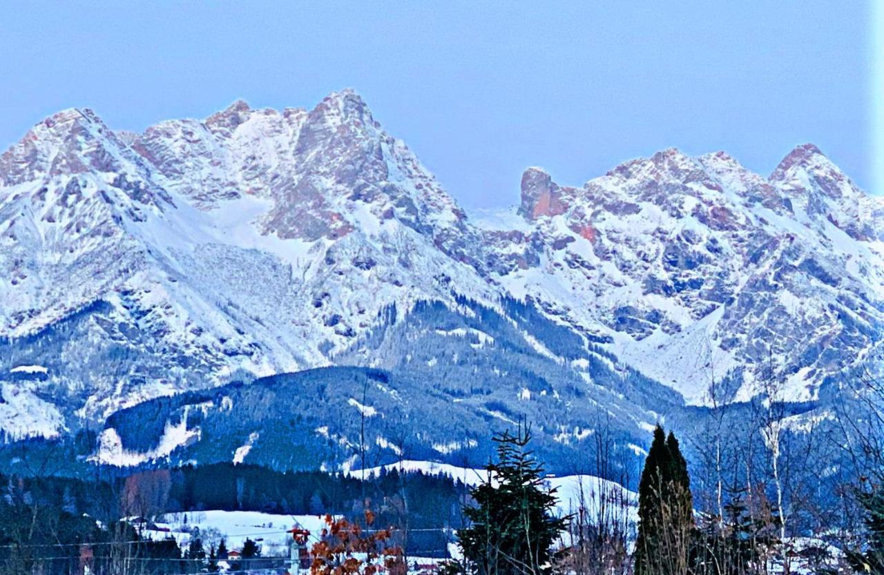 Bergblick Apartment Saalfelden Екстериор снимка