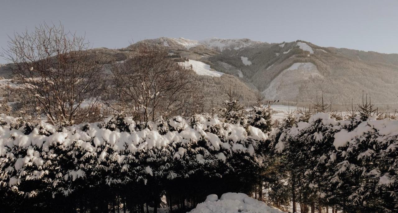 Bergblick Apartment Saalfelden Екстериор снимка
