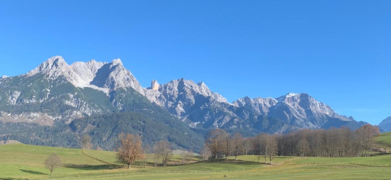 Bergblick Apartment Saalfelden Екстериор снимка