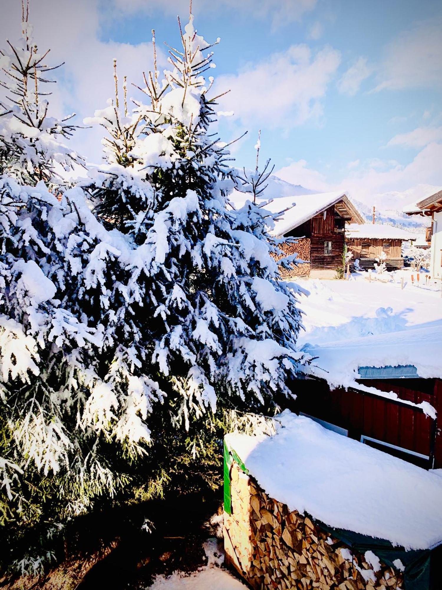 Bergblick Apartment Saalfelden Екстериор снимка